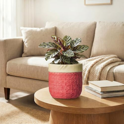 6 Inch Pots for Plants, Ceramic Planter, Round Flower Pots, Red - color: Red, size: 6 Inch