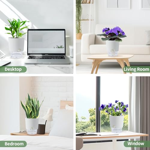 Oliz 6 Inch Self Watering Planter Pots for Indoor Plants, 3 Packs African Violet Pots with Wick Rope and Visible Reservoir Self Watering Planter for Herb, Houseplants