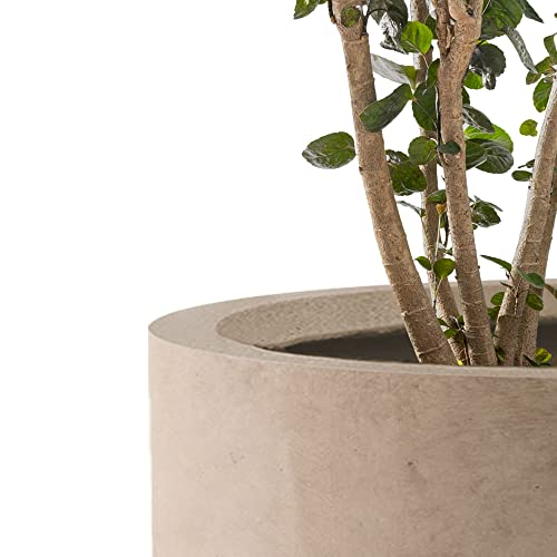 Kante Set of 3 Weathered Concrete Cylinder Planters 15.8" 12.9" 9.8" Dia - color: Weathered Concrete, size: 9.8",12.6",15.7" Dia