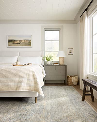 Loloi Angela Rose Blake Sky/Beige 9' x 13' Area Rug - color: Sky / Beige, size: 9' x 13' (Rectangular)