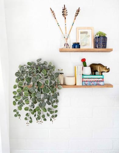 Briful Artificial String of Hearts Plant in Plastic Pot, 15inch Green - color: Green-plastic White Pot