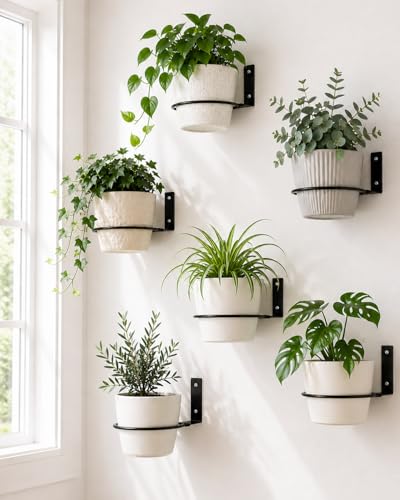 vensovo 6 Pack 4 Inch Metal Wall Planter Rings with Mounting Hooks - size: 4 Inch