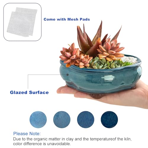 Bonsai Planter 5.7" Small Succulent Glazed Pots Set of 2 + 6 Soft Mesh Drainage Screens - style: Style Ax2