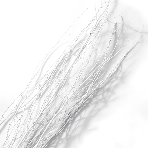 Branches for Vase, 3'–4' Natural Birch Tree Branches for Decoration, Bundle of 10 Tall Decorative Sticks for Vases, Rustic Wood Branches for Crafts, Weddings, Seasonal & Home Décor - White - color: White
