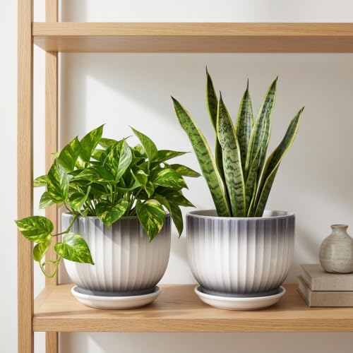 Ceramic Plant Pots, 6.7 Inch, Gray+White, Set of 2 - color: Gray + White, size: 6.7 Inch(2 PCS)
