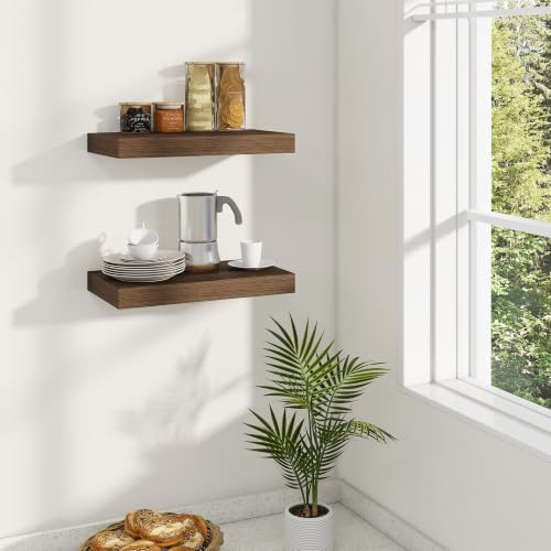 Dreamland 16 Inches Wall Mounted Wood Floating Shelves, Walnut, 2 Pack - color: Walnut, size: 16in