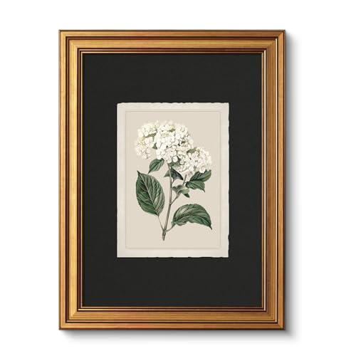 VIYYIEA Vintage Gold Framed Wall Art Print Home Decor, White Hydrangea Painting Canvas Prints, Aesthetic Farmhouse Flower Prints Decoration Bedroom Bathroom Wall Decor Kitchen Office, 12x16inch - color: White Hydrangea, size: 16"L x 12"W