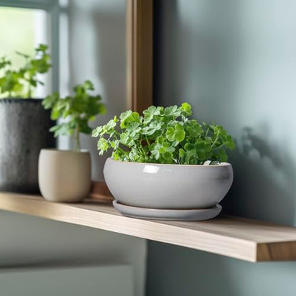SQOWL Bonsai Tree Pots, 8 Inch Ceramic Plant Pots with Saucer, Gray - color: Gray, size: 8 Inch