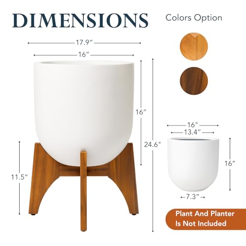 KUTE NEST 11.5" H x 17.9" W Acacia Solid Wood Plant Stand - Walnut - color: Walnut, size: Low - Medium - 11.5"H x 17.9"W