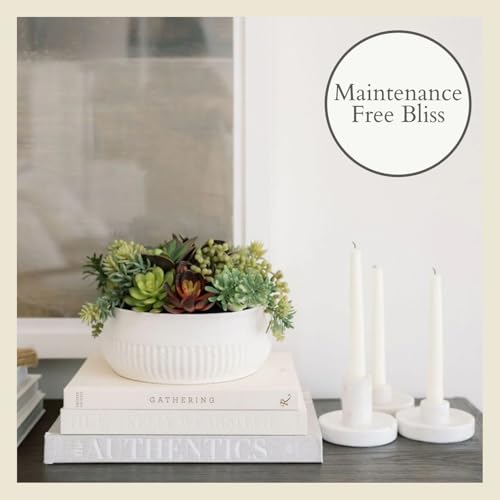 CG Hunter, Round Faux Succulent Arrangement, 12 in, White, Home Decor - size: 12" Round White