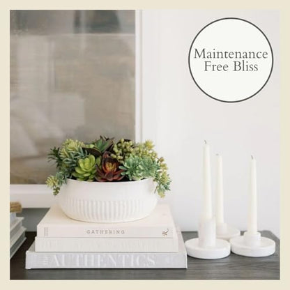 CG Hunter, Round Faux Succulent Arrangement, 12 in, White, Home Decor - size: 12" Round White