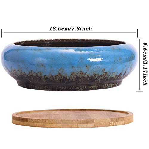 Succulent Pots, 7.3'' Ceramic Bonsai Pot with Tray, Large Succulent Planter - color: Blue