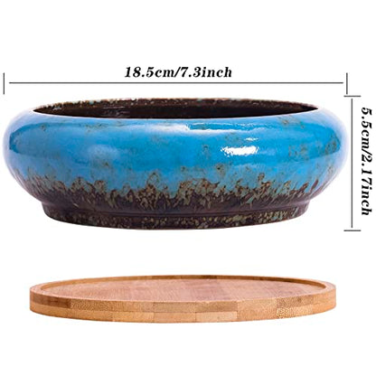 Succulent Pots, 7.3'' Ceramic Bonsai Pot with Tray, Large Succulent Planter - color: Blue