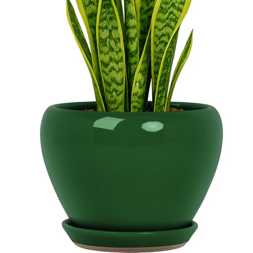 Deep Dream 8 Inch Plant Pots- Ceramic Pots for Plants with Drainage Hole and Saucer, Large Planter Pot for Indoor Plants Outdoor Decor, Green - color: Green, size: 8 Inch