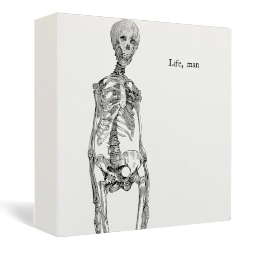 Halloween Gothic Skeleton Anatomy Wooden Box Sign Desk Decor - color: Spooky Skull