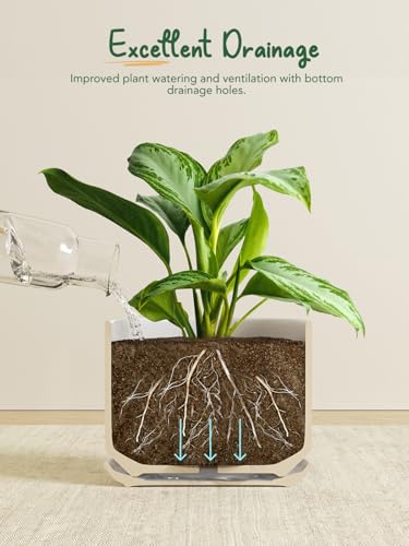 LE TAUCI 8 Inch Plant Pot, Ceramic Pots for Plants, White - color: White, size: 8"