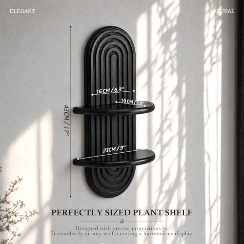 Plant Wall Shelf for Modern Decor: Hanging Plant Shelf for Planter, Black - color: Black