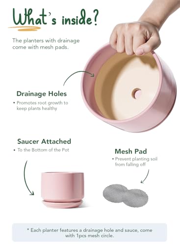 LE TAUCI Ceramic Pots for Plants, 4.3+5.3+6.8 Inch, Set of 3, Pink - color: Pink, size: 4.3"+5.3"+6.8"