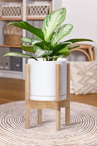 D'vine Dev Ceramic Pot with Natural Wood Stand, White, 8 in, 55-B-N-1 - color: White Pot + Natural Stand, size: 8 Inch