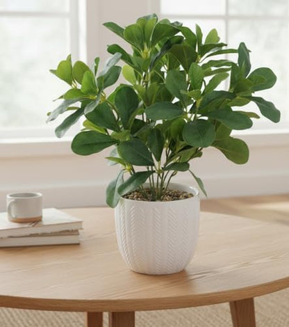 Artificial Potted Plant Leaves, 16.9" Artificial Shrubs Plants Arrangements Fake Eucalyptus Leaves with Vase Faux Greenery Leaf for Home Garden Table Centrepieces Indoor Décor