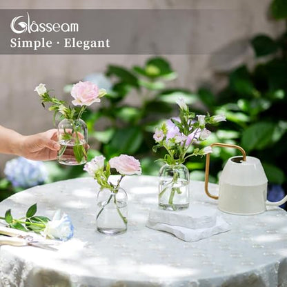 Glasseam Glass Bud Vases for Centerpieces: Bulk of 24 Clear Small Vases - size: S-24Pcs