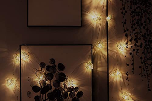 Cobus CozyHome Heart String Lights – 23 FT & 20 Warm White LEDs | Indoor | Christmas Fairy Lights Engagement Wedding Decoration Table Decoration Fairy Lights (Pack of 2) - size: Stecker - 20 LEDs - 7 Meter (Pack of 2)