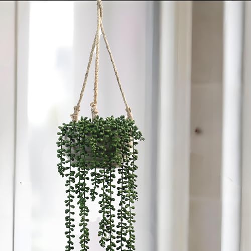 CYS EXCEL Small Wooden Hanging Planter Paulownia Wood Bowl Basket with Jute Rope for Indoor Plants Succulents - size: 7.75"