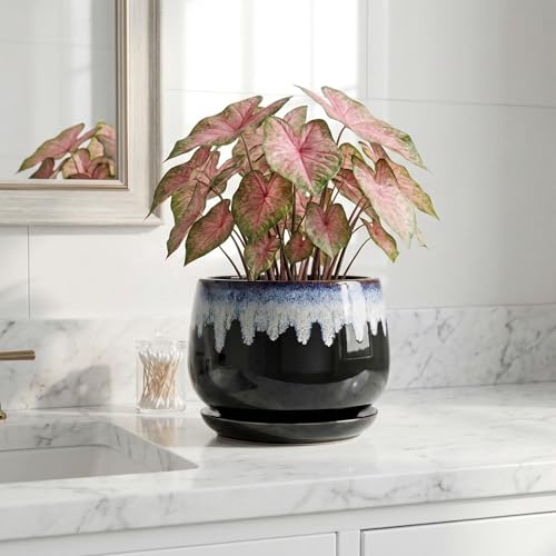 Ceramic Plant Pots 7 Inch, Ceramic Planter with Saucer, Black-Blue - size: 7 Inch, style: Black-blue