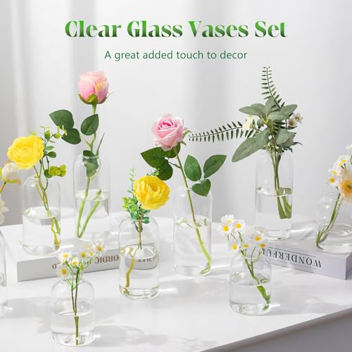 Glasseam Glass Bud Vases for Centerpieces, 3Pcs Modern Clear Small Vase Set - color: Clear