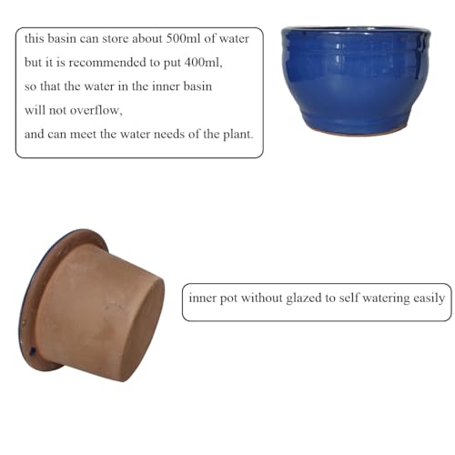 African Violet Pots Self Watering Blue 6 inch - color: Blue