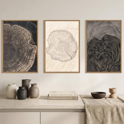 DRACIT Beige Pastel Wood Tree Rings Framed Canvas Wall Art Set-16"x24"x3 - color: Beige Tree Rings Wall Art, size: 16"L x 24"W