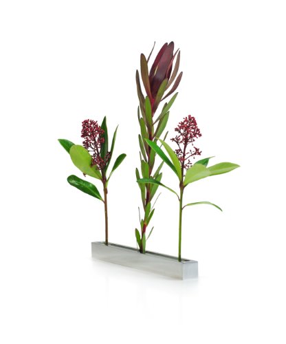 XXD Flower Boulevard Vase – an Vase – Impressed by Design