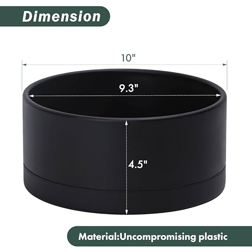 D'vine Dev 10 in Shallow Round Succulent Planter, Black, 76-Z-B-2 - color: Black, size: 10 Inch