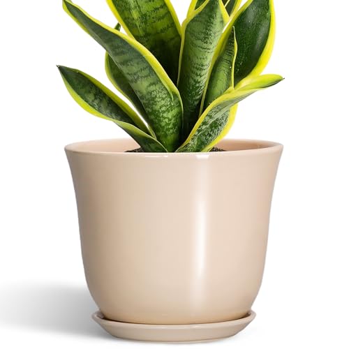 8 Inch Plant Pot, Ceramic Pots for Plants Indoor, Beige - color: Beige, size: 8 Inch