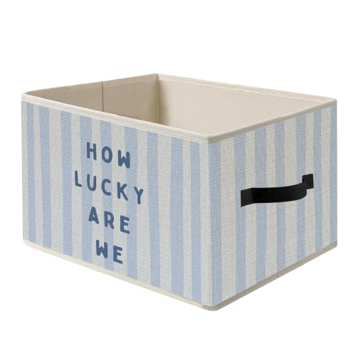 How Lucky Are We Preppy Blue Striped Storage Basket Organizer - color: How Lucky