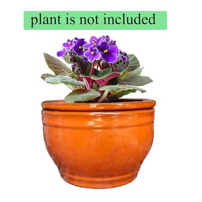 African Violet Pots Self Watering Orange 6 inch - color: Orange