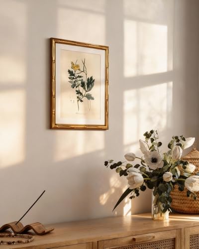 InSimSea Gold Bamboo Framed Wall Art,Kitchen Herbs Botanical Prints,11x14In - color: Herb Chelidonium Majus