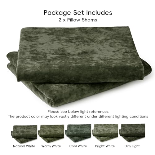PHF Truly Velvet Pillowcases Standard Size 20"x26", Smokey Olive, No Insert - color: Smokey Olive, size: 26" x 20" (Pack of 2)