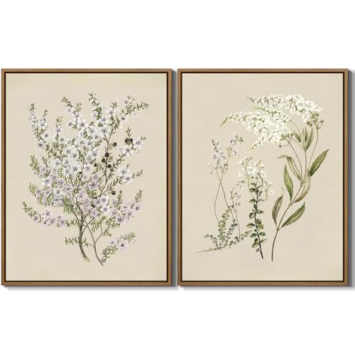 Set of 2 Vintage Floral Botanical Canvas Wall Art Purple White Manuka Flower Pictures Wall Decor Neutral Flower Plants Poster Stretched and Framed for Girls Room Bedroom Farmhouse Decoration, 11"x14" - color: Manuka Flower, size: 14"L x 11"W