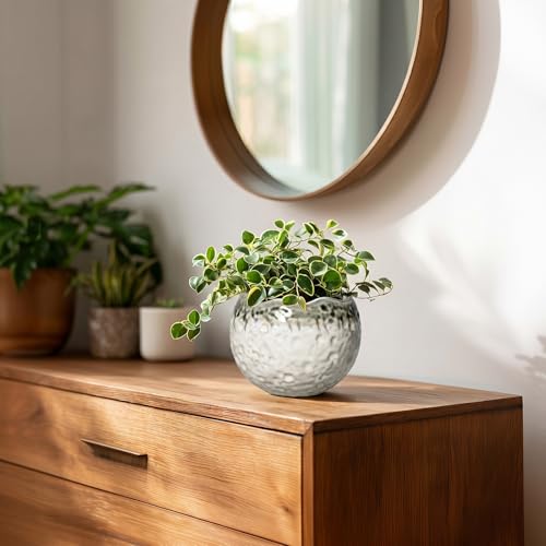 Ceramic Plant Pots 4 Inch, Small Ceramic Planter, Beige-Grey - color: Beige-grey, size: 4.5 Inch