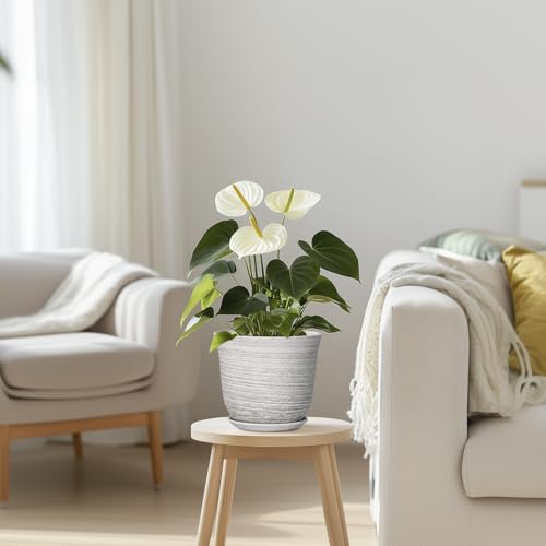 Ceramic Pots for Plants, 5.6 Inch Plant Pot with Drainage, Grey - color: Grey-white, size: 6 Inch