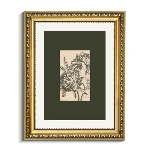 VIYYIEA Gold Framed Canvas Wall Art, 11x14 Vintage Botanical Peony Illustration, Antique Floral Drawing Print with Dark Green Mat, Classic Botanical Wall Decor for Living Room Bedroom Office - color: Peony Sketch, size: 14"L x 11"W