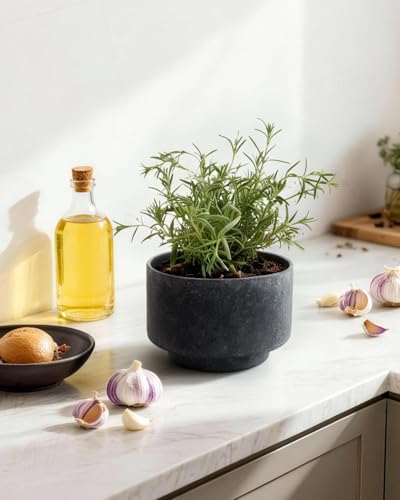 Succulent Pots, 8"+6" Plant Pots, Ceramic Planters for Indoor Plants - color: Black