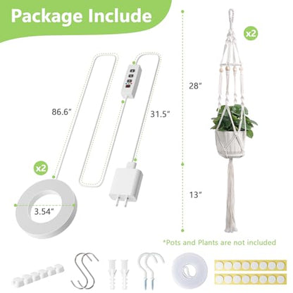 Macrame Plant Hangers - Beautiful Plants in Low Light - color: Plant Hanger Ivory(growpro)