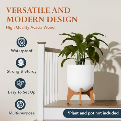 KUTE NEST 11.5" H x 17.9" W Acacia Solid Wood Plant Stand - Walnut - color: Walnut, size: Low - Medium - 11.5"H x 17.9"W