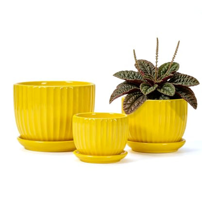 Ceramic Planters,Yellow Plant Pots with Drainage Holes and Saucers Set of 3 - color: Yelllow