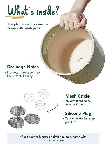 LE TAUCI 10+8+6 Inch Ceramic Pots for Plants, Indoor Planters with Drainage Hole and Plug, Modern Cylinder Flower Pots Set of 3 for Living Room and Kitchen, Glossy, Sage Green - color: Sage Green