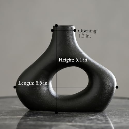 Carrot's Den Black Ceramic Modern Vase Set of 2, Donut Shelf Decor, Black - color: Black