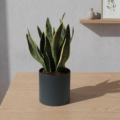 7 Inch Grey Metal Plant Pot with Drainage Hole, Indoor Outdoor - color: Gray