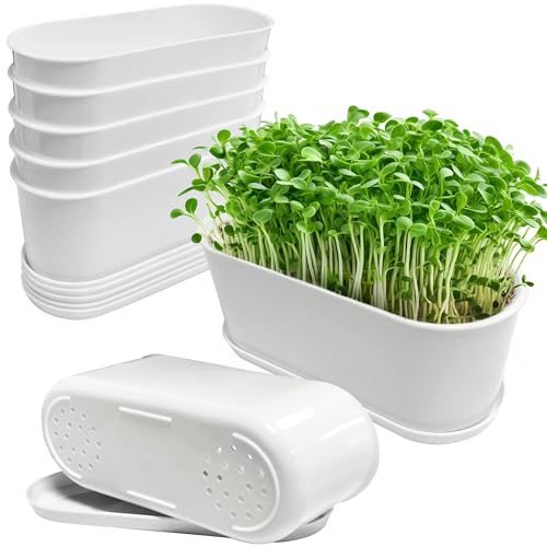 5 Set Window Herb Planter Box Rectangular,8.5x3.5 Inch White Plastic Planters with Multiple Drainage Holes and Trays,Indoor Succulent Cactus Mint Flower Pot for Windowsill,Garden Balcony